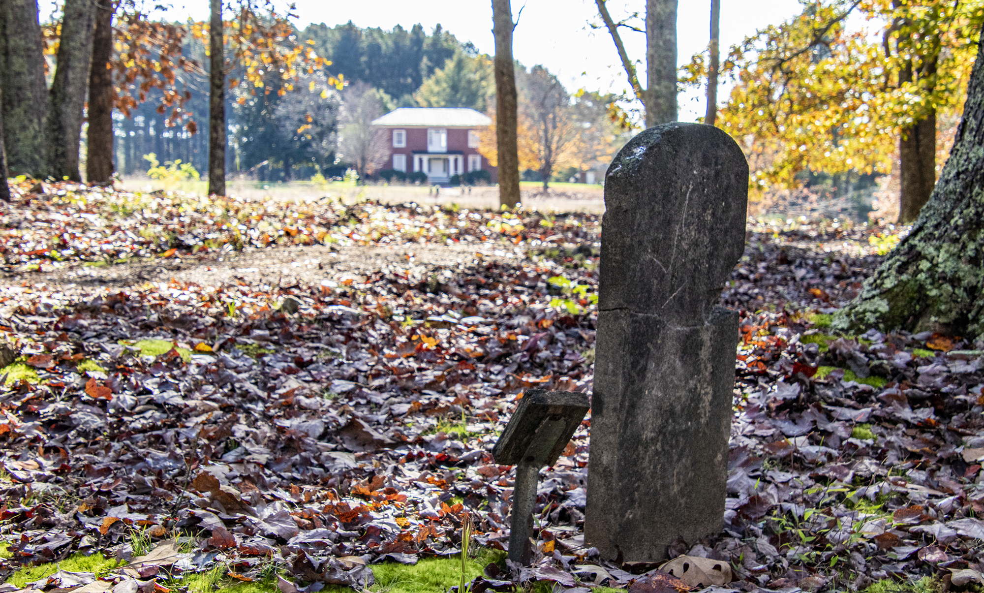 https://reynoldshomestead.vt.edu/content/dam/reynoldshomestead_vt_edu/gravesite.jpg